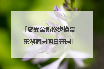 感受全新移步换景，东湖荷园明日开园