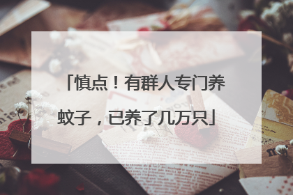 慎点！有群人专门养蚊子，已养了几万只
