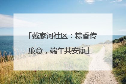 戴家河社区：粽香传廉意，端午共安康