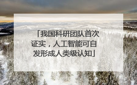 我国科研团队首次证实，人工智能可自发形成人类级认知