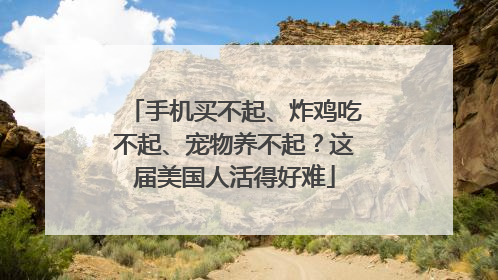 手机买不起、炸鸡吃不起、宠物养不起？这届美国人活得好难
