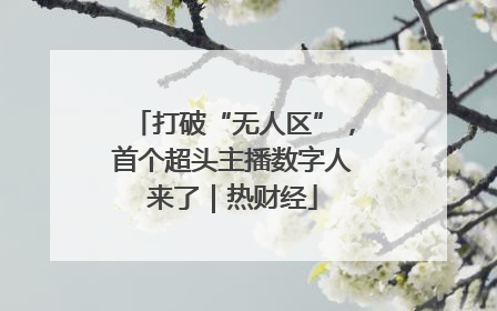 打破“无人区”，首个超头主播数字人来了｜热财经