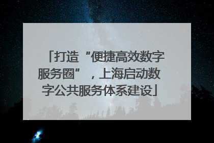 打造“便捷高效数字服务圈”，上海启动数字公共服务体系建设