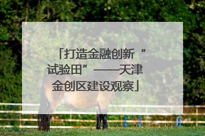 打造金融创新“试验田”——天津金创区建设观察