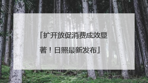 扩开放促消费成效显著！日照最新发布