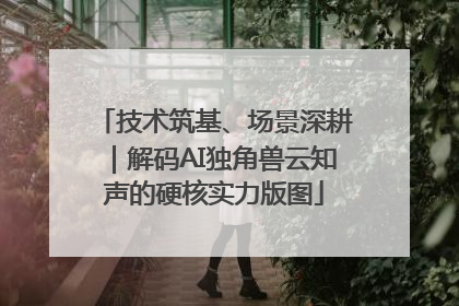 技术筑基、场景深耕｜解码AI独角兽云知声的硬核实力版图