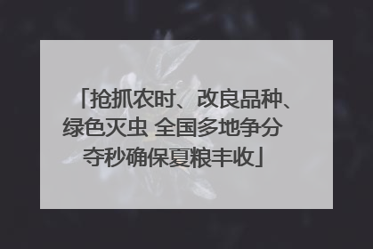 抢抓农时、改良品种、绿色灭虫 全国多地争分夺秒确保夏粮丰收