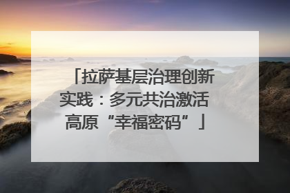 拉萨基层治理创新实践：多元共治激活高原“幸福密码”