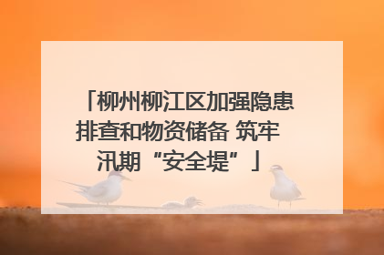 柳州柳江区加强隐患排查和物资储备 筑牢汛期“安全堤”