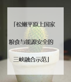 松嫩平原上国家粮食与能源安全的三峡融合示范
