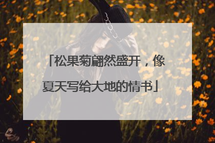 松果菊翩然盛开，像夏天写给大地的情书