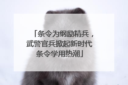 条令为纲励精兵，武警官兵掀起新时代条令学用热潮