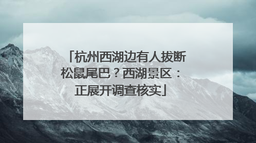 杭州西湖边有人拔断松鼠尾巴？西湖景区：正展开调查核实
