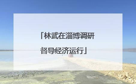 林武在淄博调研督导经济运行