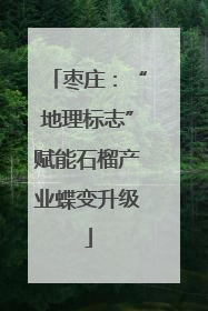 枣庄：“地理标志”赋能石榴产业蝶变升级