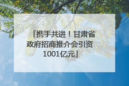 携手共进！甘肃省政府招商推介会引资1001亿元
