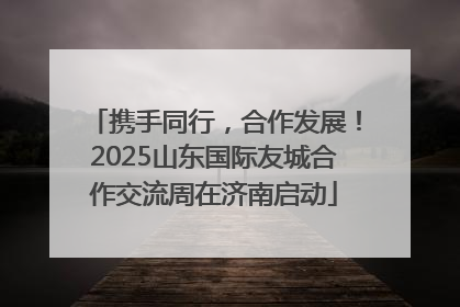 携手同行，合作发展！2025山东国际友城合作交流周在济南启动