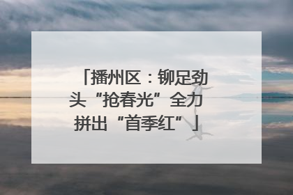 播州区：铆足劲头“抢春光”全力拼出“首季红”