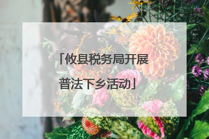 攸县税务局开展普法下乡活动