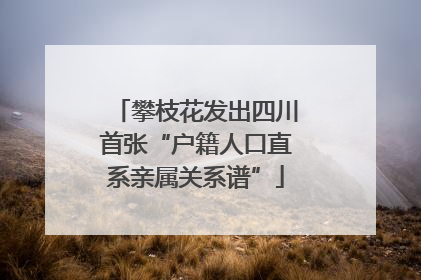 攀枝花发出四川首张“户籍人口直系亲属关系谱”