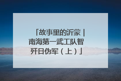 故事里的沂蒙｜南海第一武工队智歼日伪军（上）