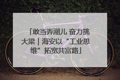 敢当弄潮儿 奋力挑大梁｜海安以“工业思维”拓宽共富路