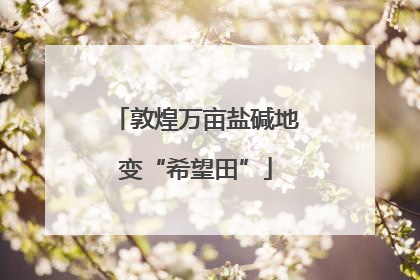 敦煌万亩盐碱地变“希望田”