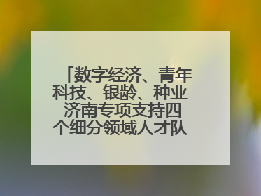 数字经济、青年科技、银龄、种业 济南专项支持四个细分领域人才队伍建设