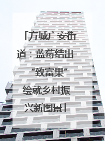 方城广安街道：蓝莓结出 “致富果” 绘就乡村振兴新图景