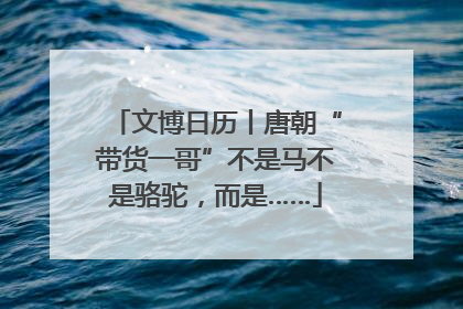 文博日历丨唐朝“带货一哥”不是马不是骆驼，而是……