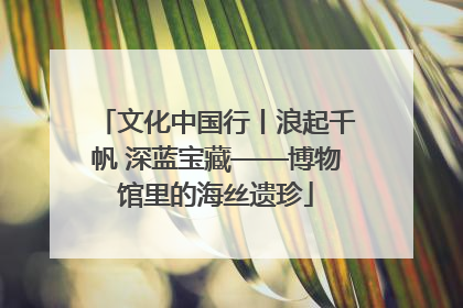文化中国行丨浪起千帆 深蓝宝藏——博物馆里的海丝遗珍