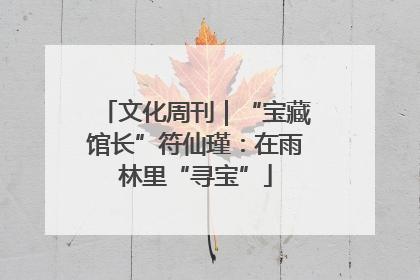 文化周刊｜“宝藏馆长”符仙瑾：在雨林里“寻宝”