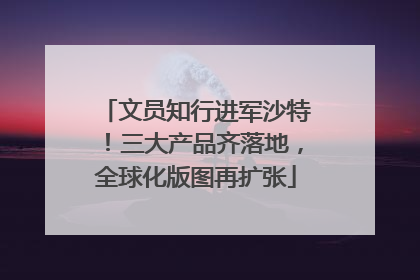 文员知行进军沙特！三大产品齐落地，全球化版图再扩张