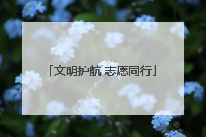 文明护航 志愿同行