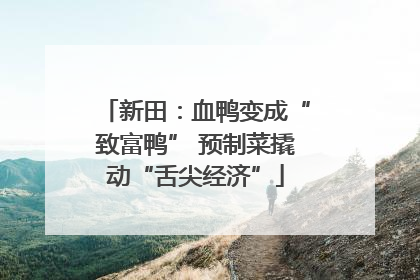 新田：血鸭变成“致富鸭” 预制菜撬动“舌尖经济”