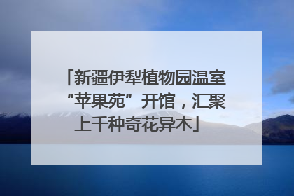 新疆伊犁植物园温室“苹果苑”开馆，汇聚上千种奇花异木