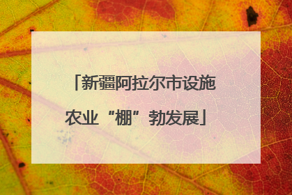 新疆阿拉尔市设施农业“棚”勃发展
