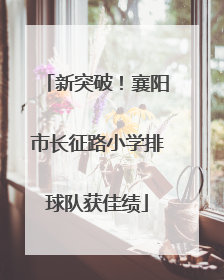 新突破！襄阳市长征路小学排球队获佳绩
