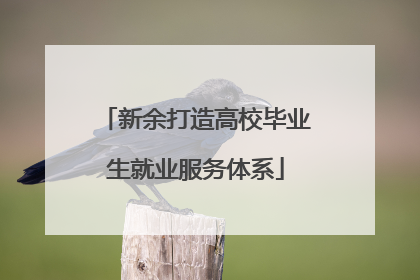 新余打造高校毕业生就业服务体系