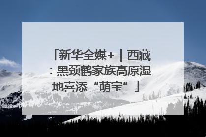 新华全媒+｜西藏：黑颈鹤家族高原湿地喜添“萌宝”