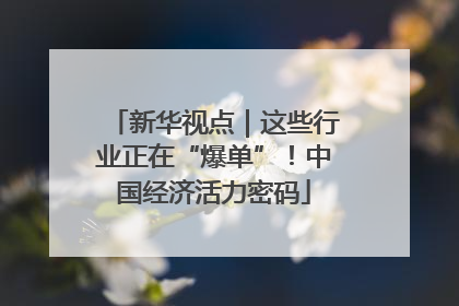 新华视点｜这些行业正在“爆单”！中国经济活力密码