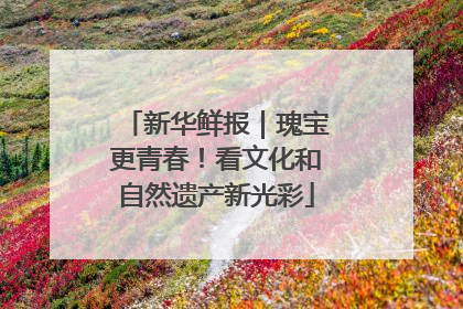 新华鲜报｜瑰宝更青春！看文化和自然遗产新光彩