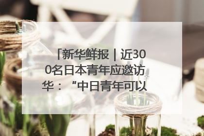 新华鲜报｜近300名日本青年应邀访华：“中日青年可以创造更好的未来”