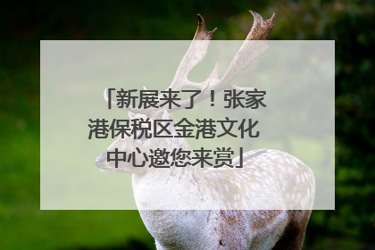 新展来了！张家港保税区金港文化中心邀您来赏
