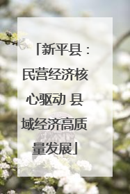 新平县：民营经济核心驱动 县域经济高质量发展