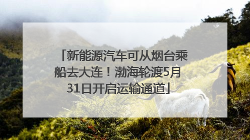 新能源汽车可从烟台乘船去大连！渤海轮渡5月31日开启运输通道