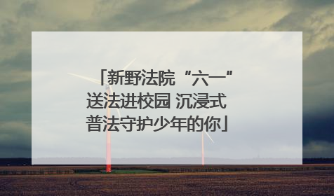 新野法院“六一”送法进校园 沉浸式普法守护少年的你