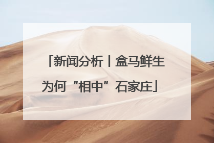 新闻分析丨盒马鲜生为何“相中”石家庄