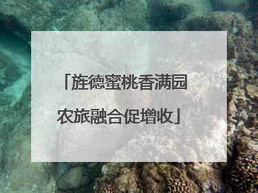 旌德蜜桃香满园 农旅融合促增收