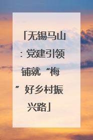 无锡马山：党建引领 铺就“梅”好乡村振兴路